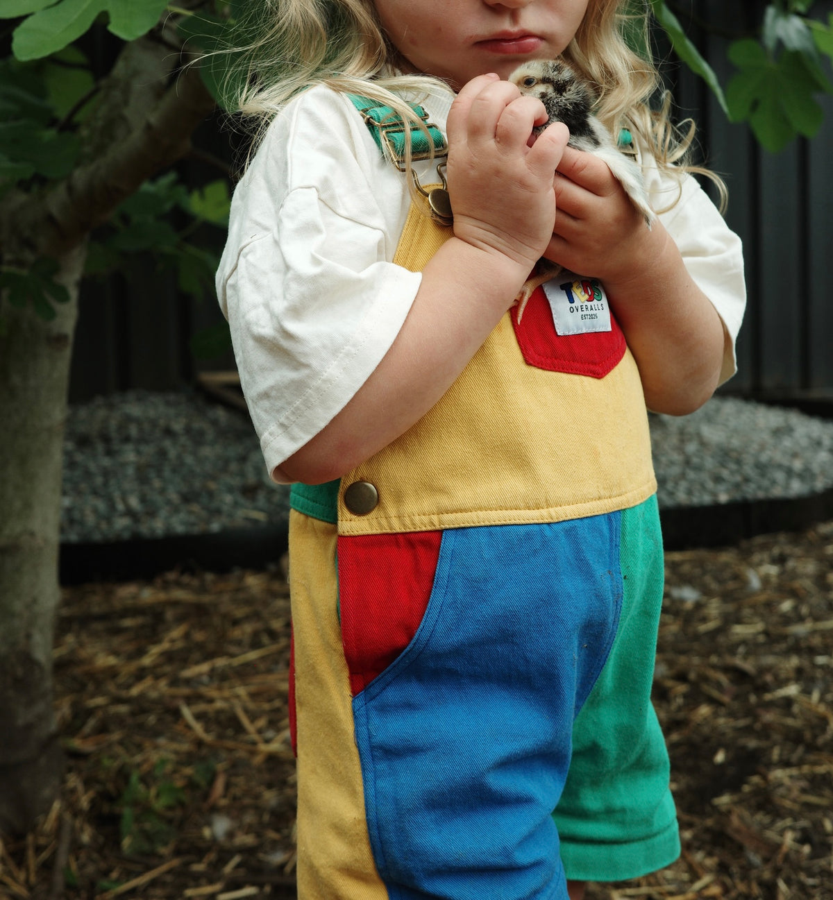 TEDDY SHORTALLS - PRESALE