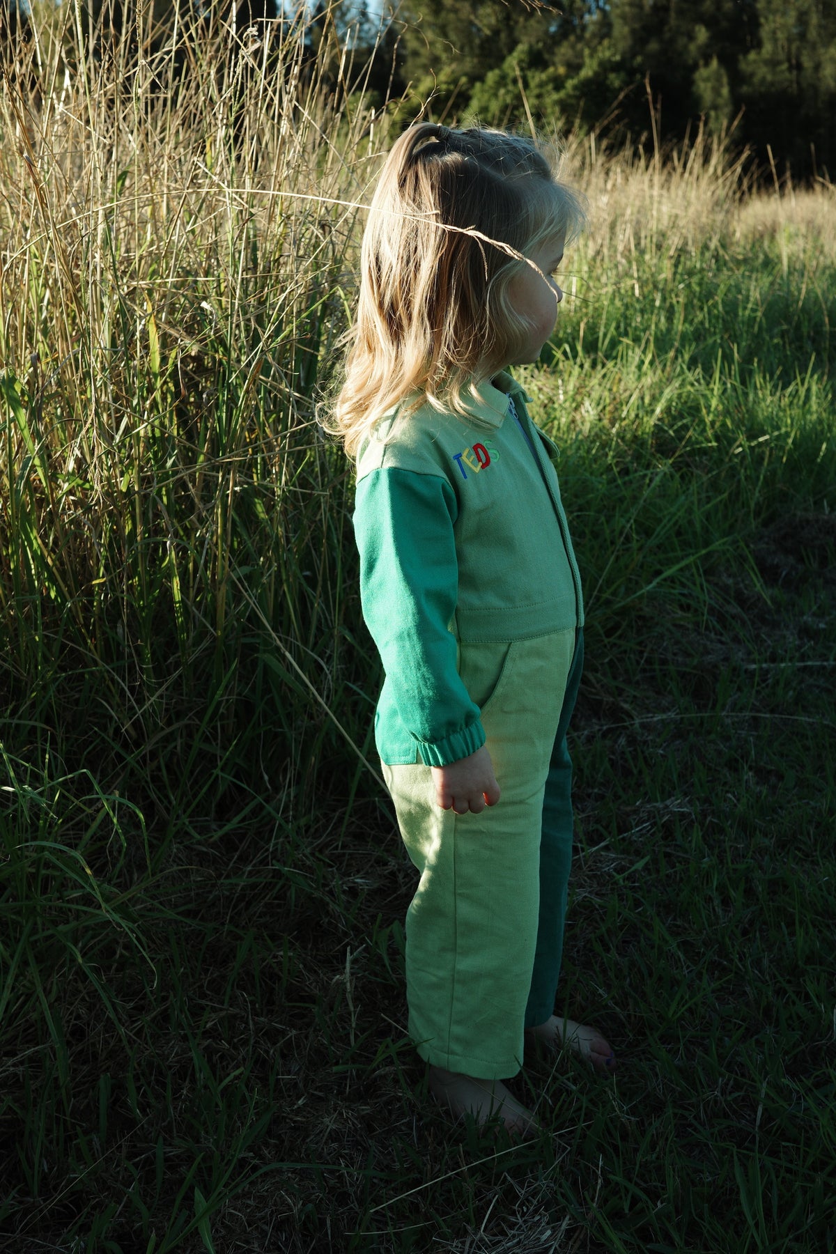 Teds Overalls