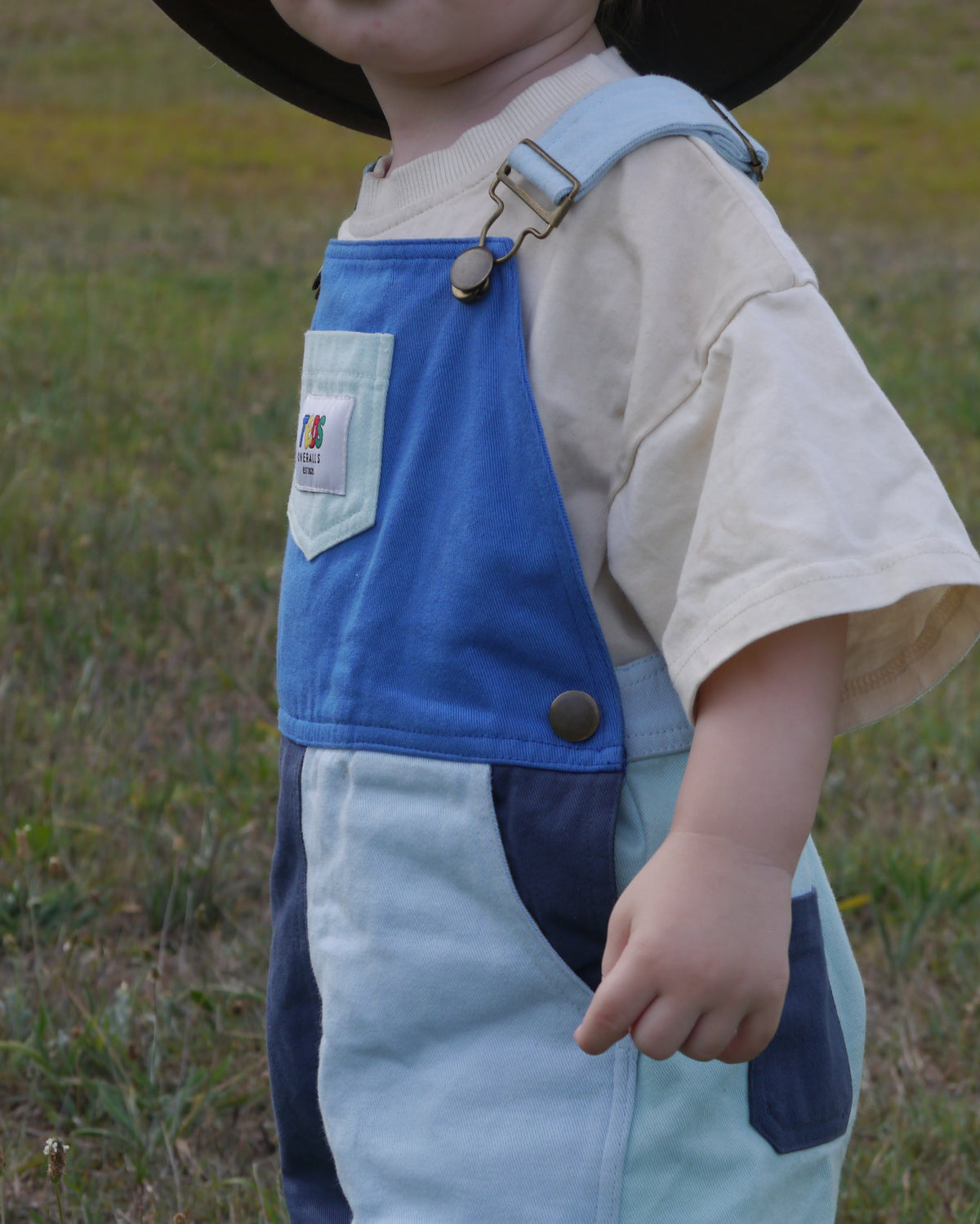 Teds Overalls