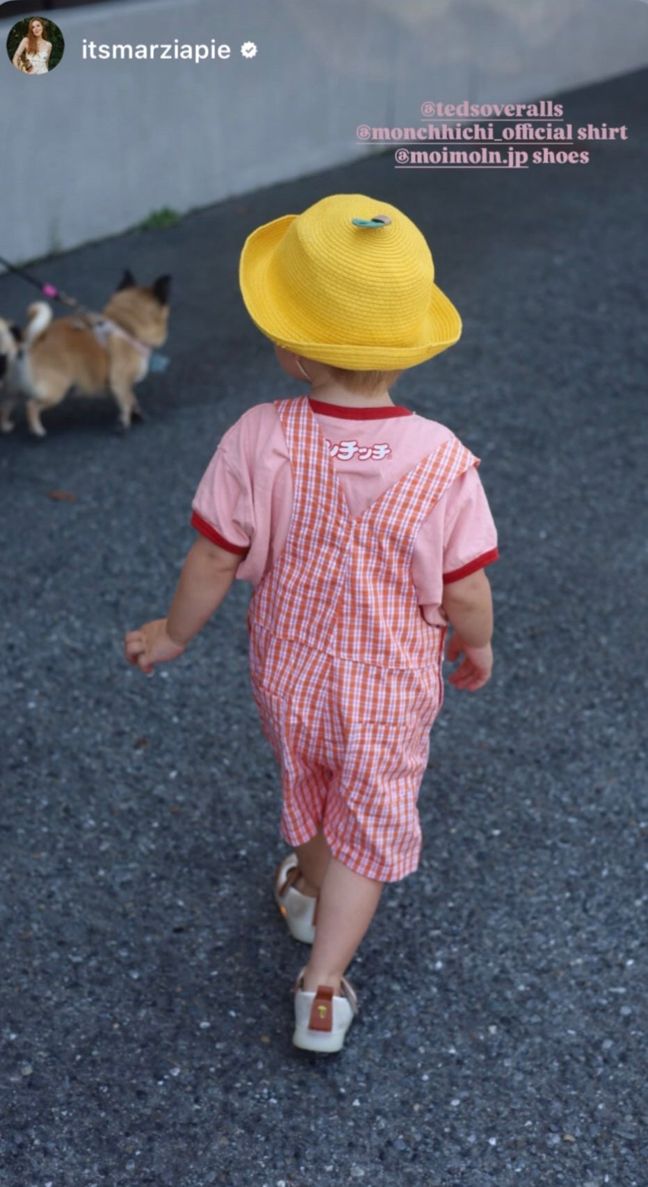 Teds Overalls