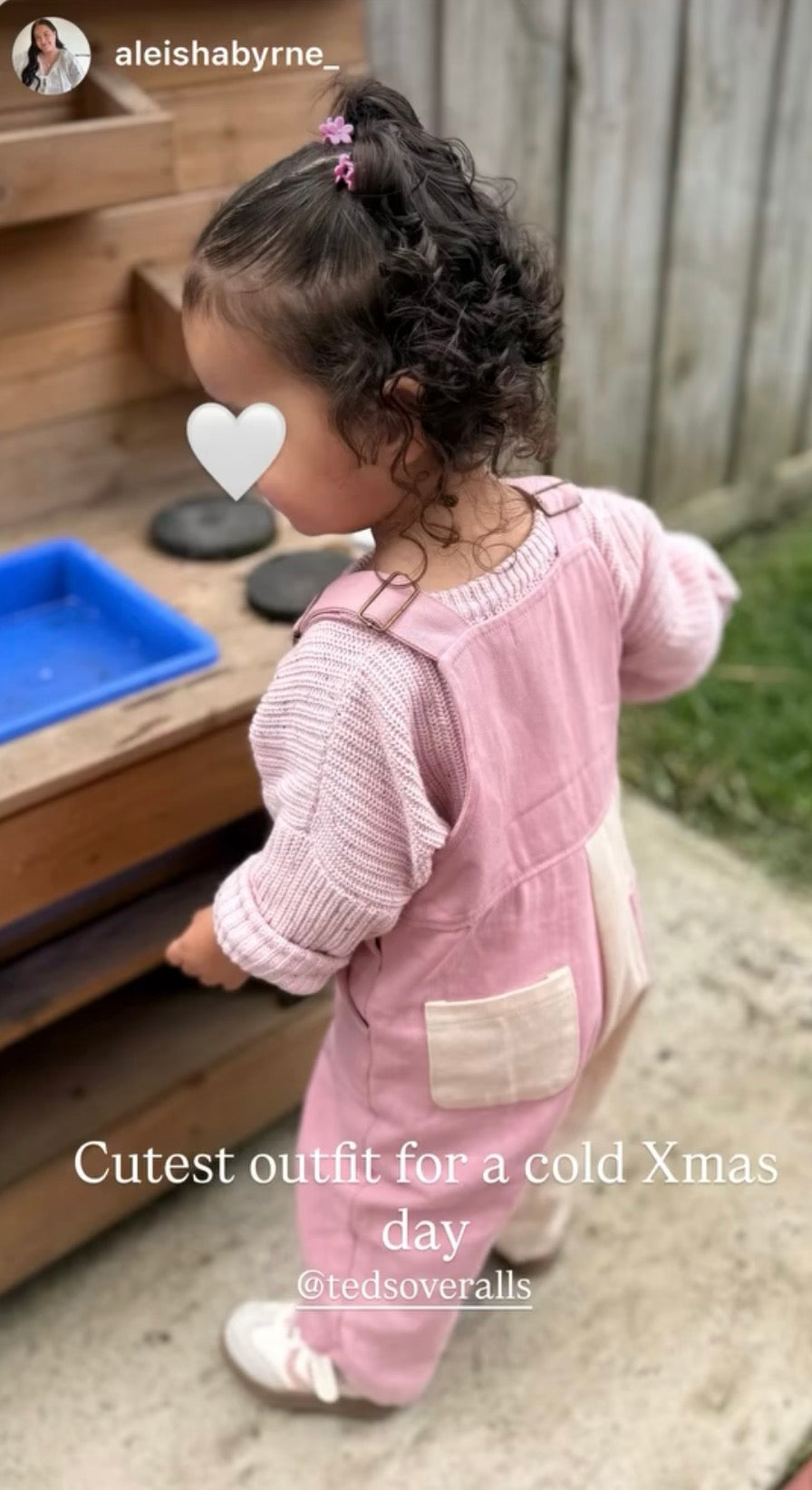Teds Overalls