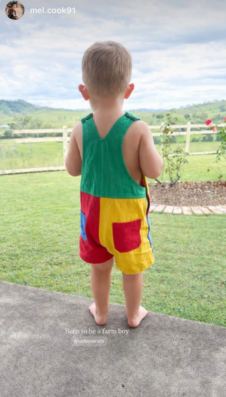 Teds Overalls
